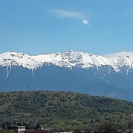 Ferienwohnung Le Nid D'Adam Zărneşti Exterior foto